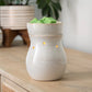 Frosted Farmhouse Illumination Warmer