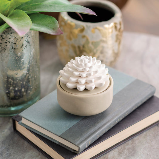 Succulent Porcelain Diffuser