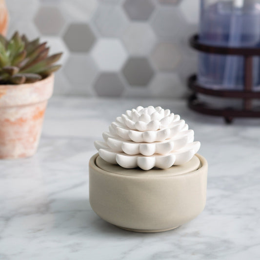 Succulent Porcelain Diffuser